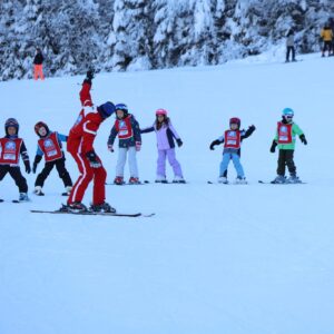 Skikurs Kinder Halbtags